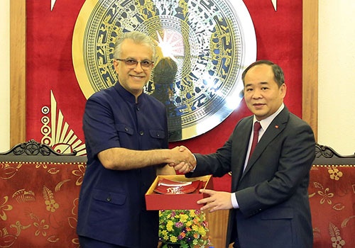 Thu truong Bo VHTTDL Le Khanh Hai ung cu chu tich VFF hinh anh