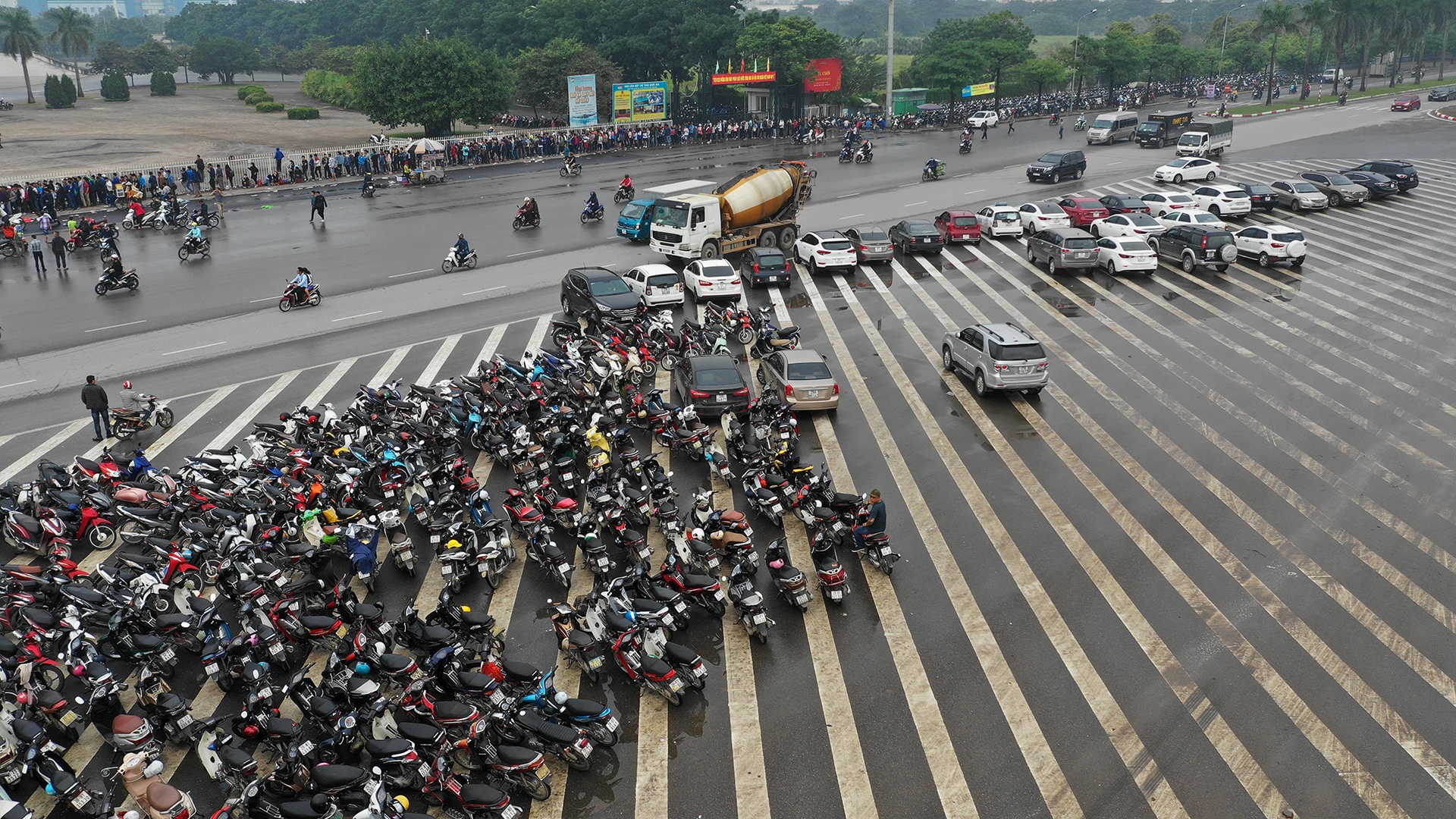 Ve,  Malaysia,  Viet Nam,  giu xe,  chat chem,  banh mi, sot ve,  co ve anh 2