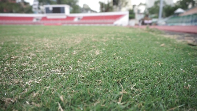 san Thong Nhat,  co burmuda,  co xin,  U23 Viet Nam,  V League 2019,  DTQG Viet Nam,  dang van lam anh 2