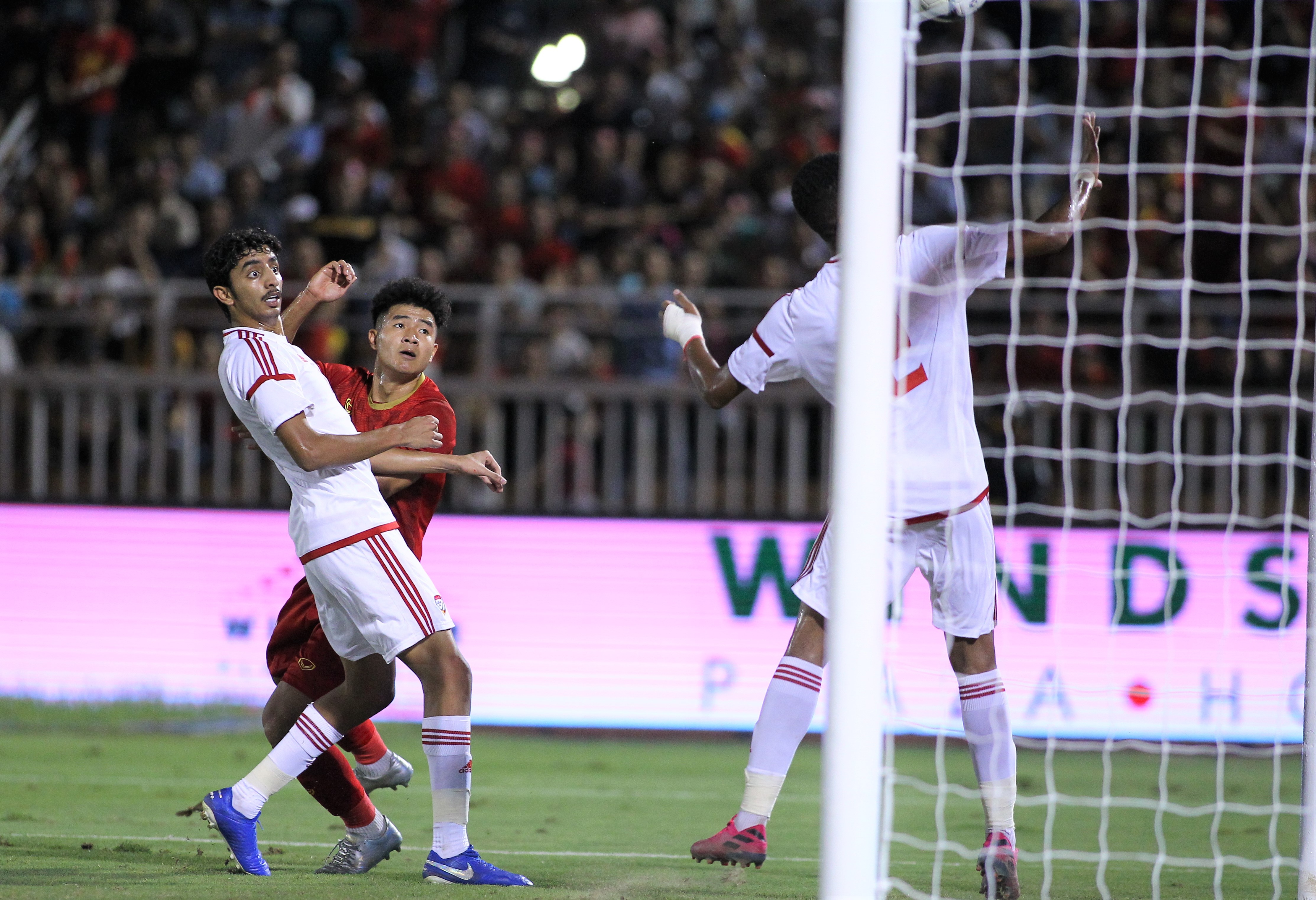 ha duc chinh toa sang anh 5