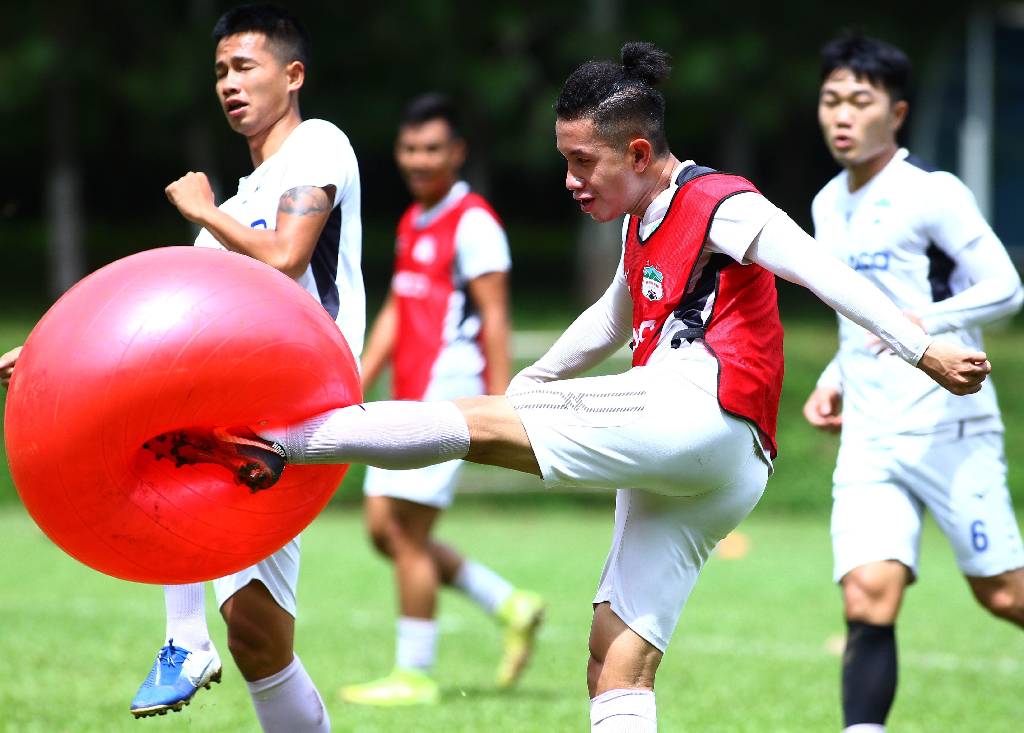 lee tae hoon giam doc ky thuat hagl anh 7