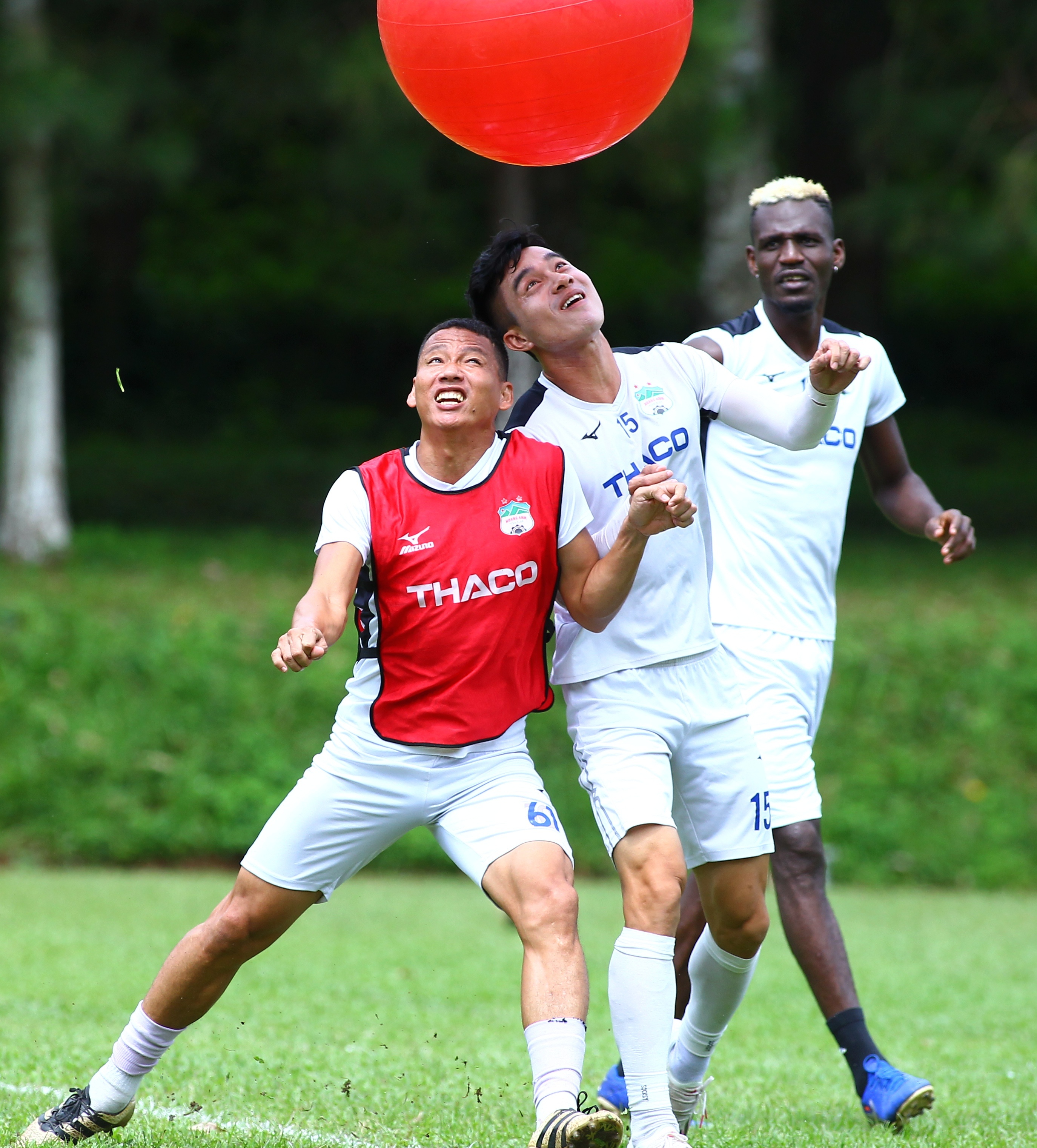 lee tae hoon giam doc ky thuat hagl anh 8