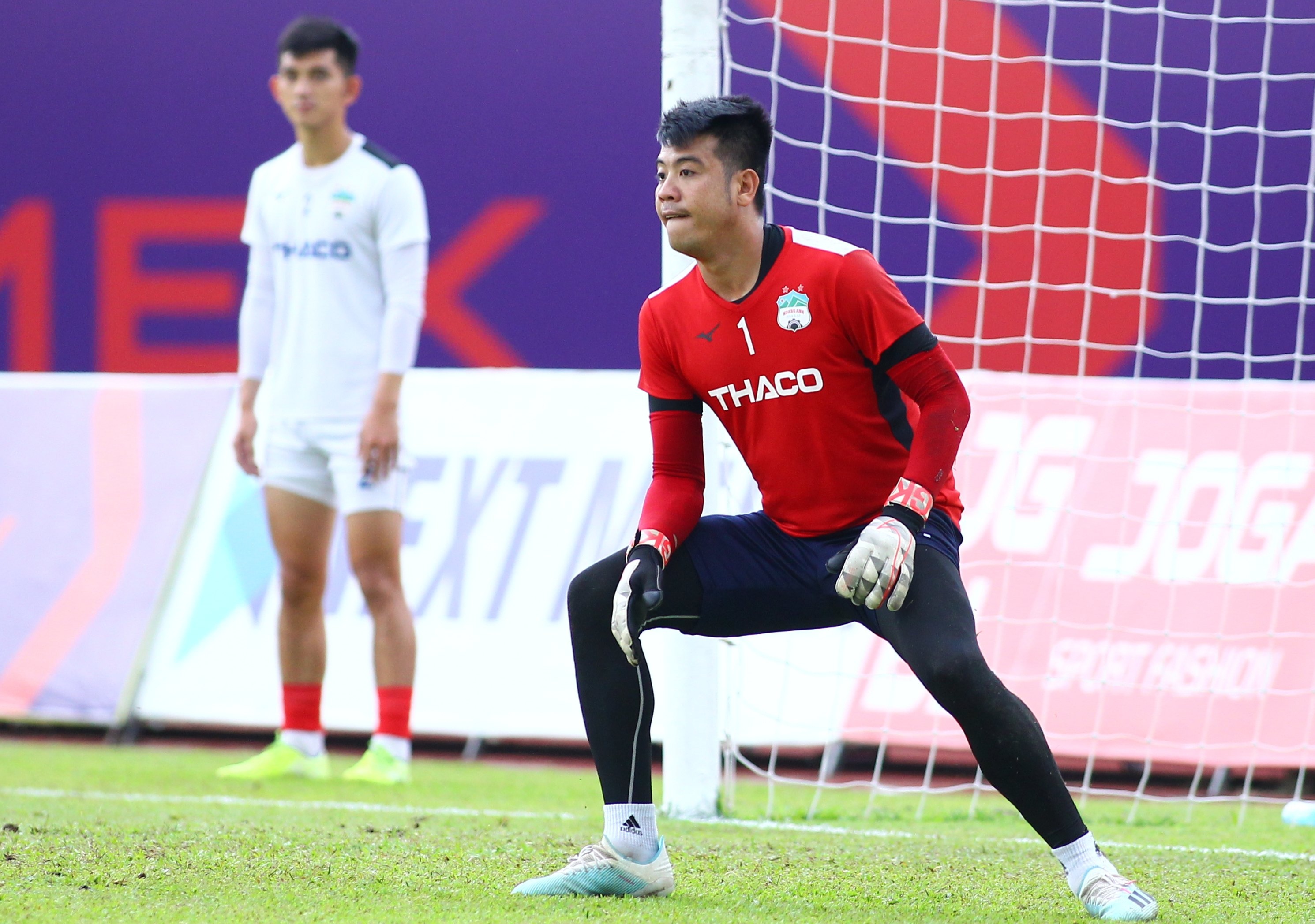 thu mon hagl bi ky luat anh 1