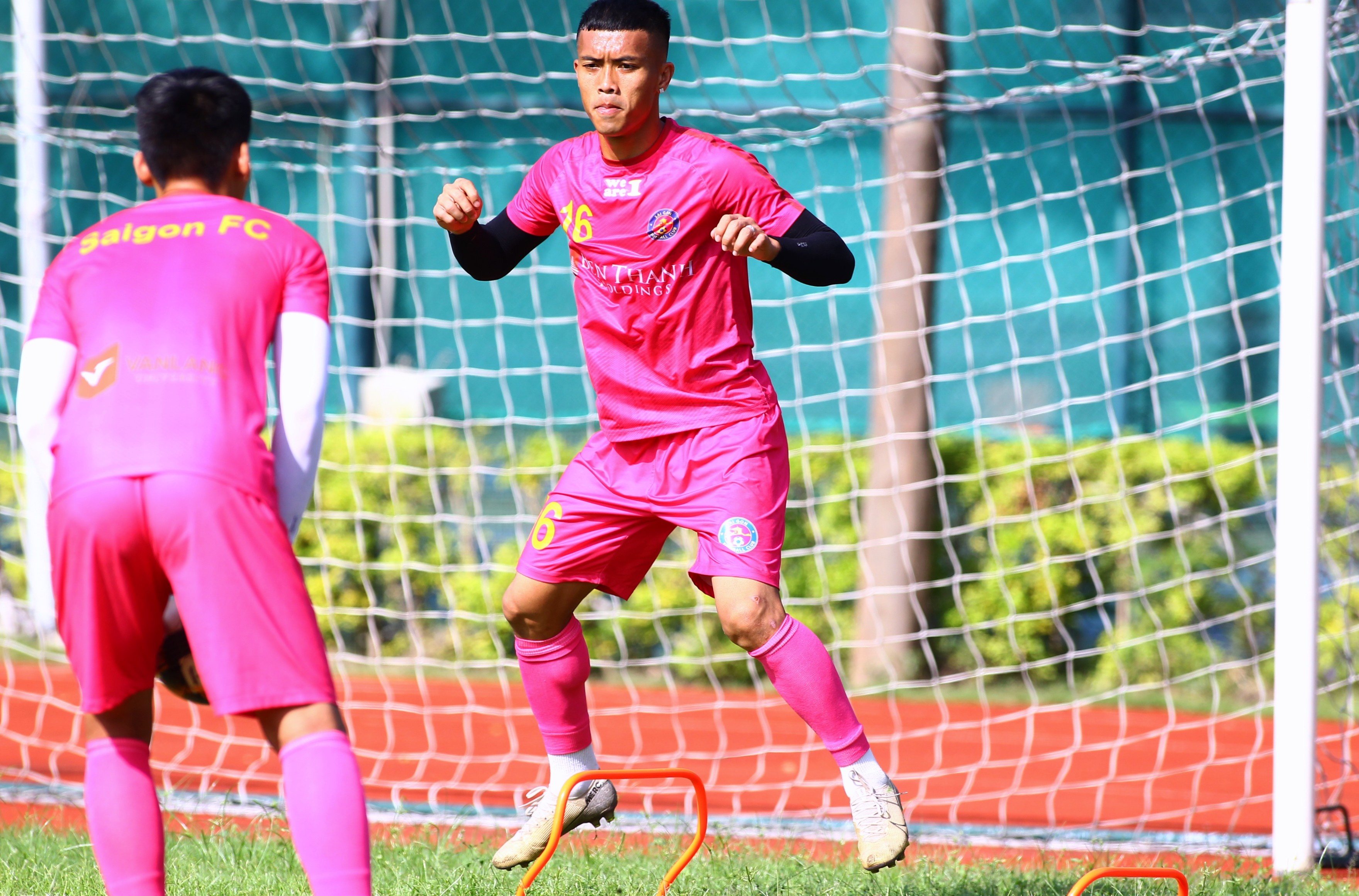 do merlo tuoi 36 anh 6