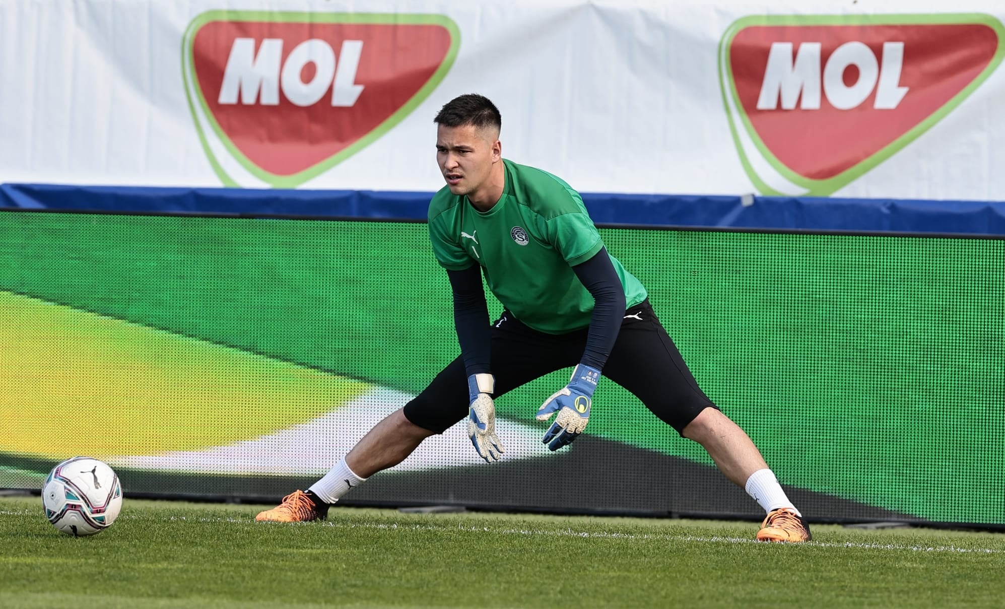 filip nguyen khong ve viet nam anh 1