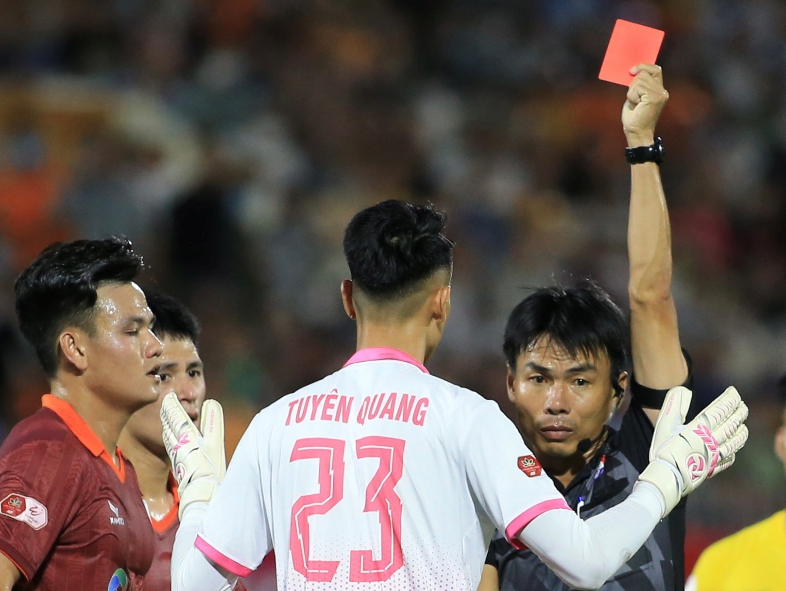 Ho Tan Tai bi phat vi giau the do cua trong tai hinh anh