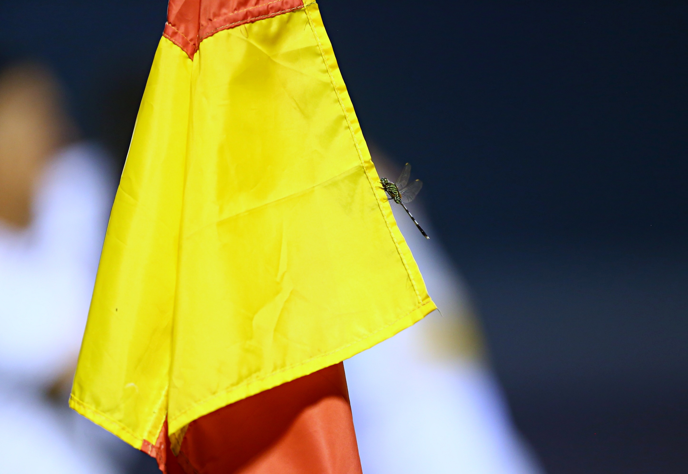 VPF hoan 2 tran dau vi bao Noru hinh anh