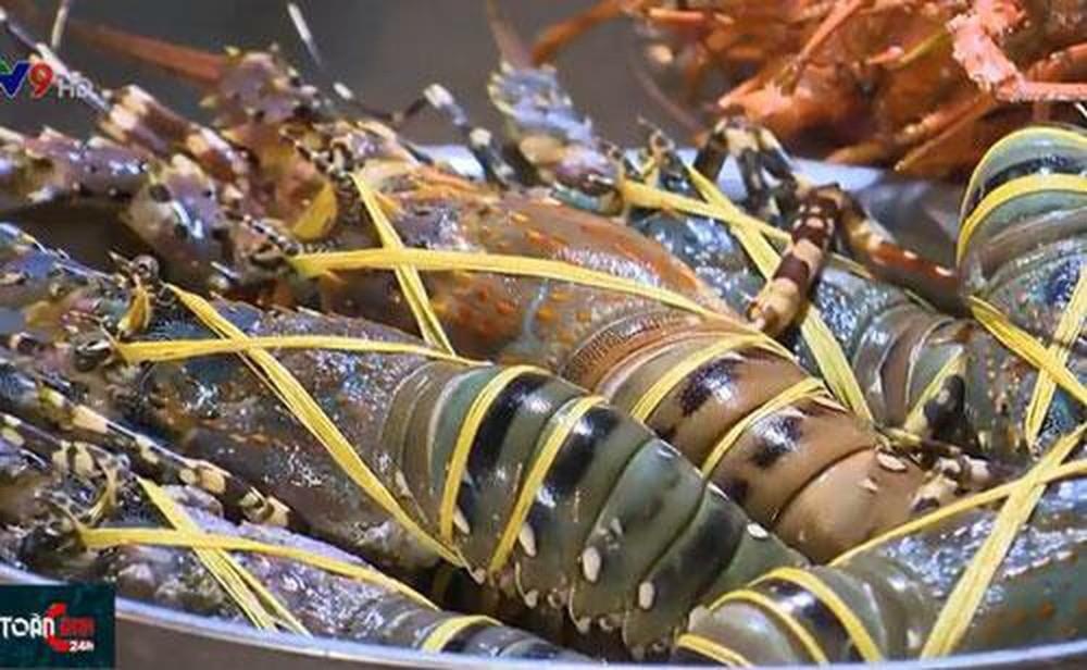 Su that ve tom hum gia re chi 150.000 dong/con hinh anh