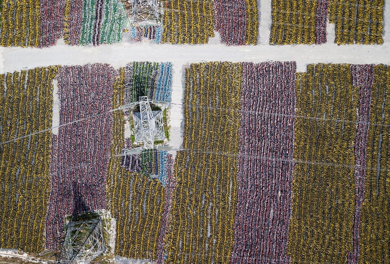 Nganh cong nghiep cho thue xe dap Trung Quoc anh 2