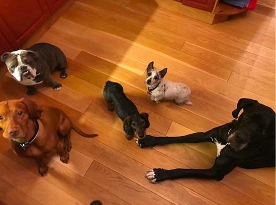 5 ty phu USD tre nhat anh 15