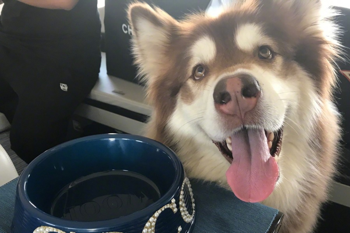 Vương Tư Thông bị niêm phong tài sản ảnh 3 Vuong Tu Thong bi niem phong tai san anh 3