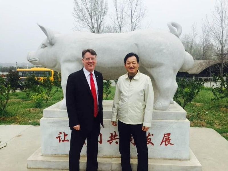 Ty phu thit lon Trung Quoc anh 1