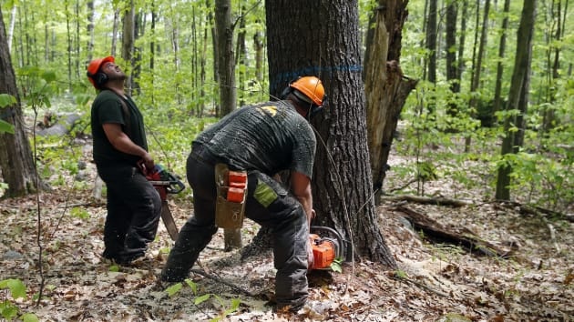 Thu nhap cua nghe nguy hiem anh 10