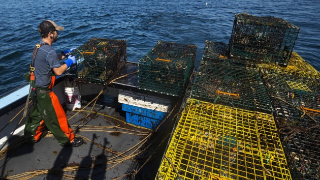 Thu nhap cua nghe nguy hiem anh 9