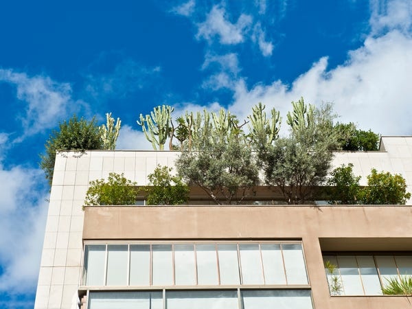 Khu pho Ghosn tron sang anh 7