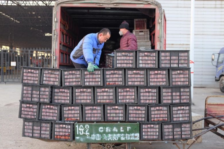 Gia ca o Trung Quoc anh 3