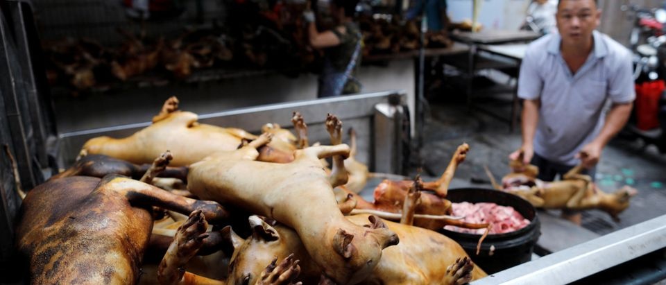 Cho tuoi song Trung Quoc tiep tuc ban doi, meo hinh anh