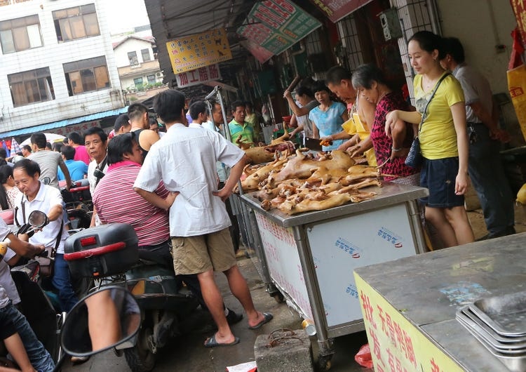 Trung Quoc se cam an thit cho, meo sau dich Covid-19 hinh anh