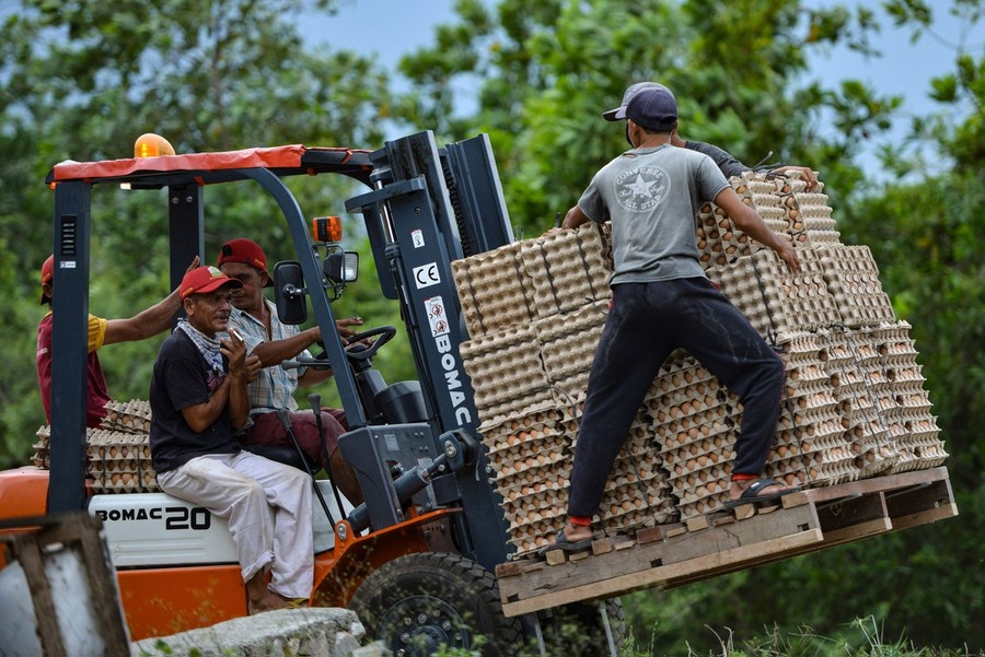 nong dan trong dich Covid-19 anh 10