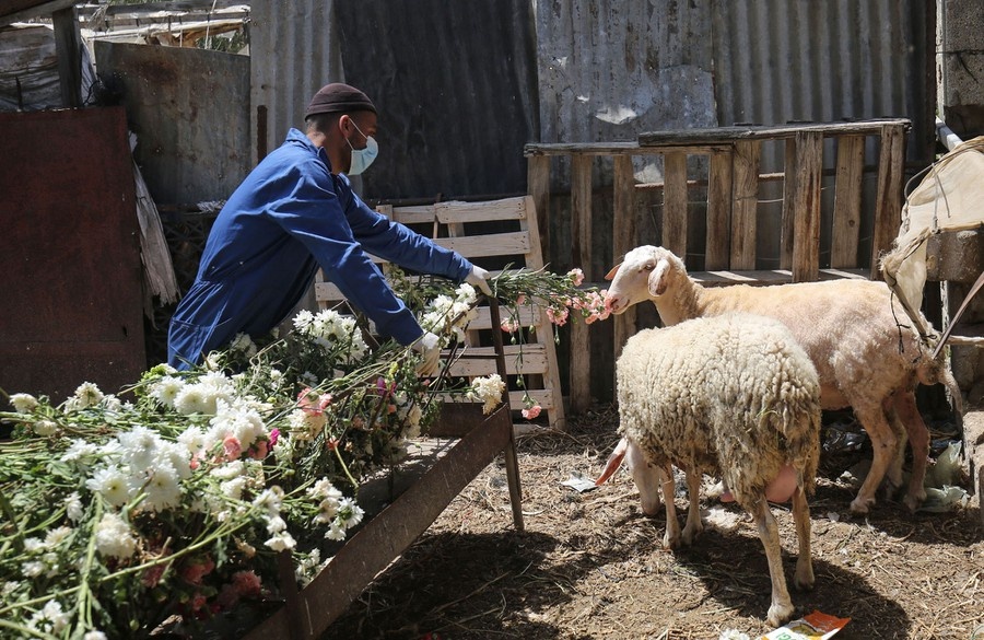 nong dan trong dich Covid-19 anh 11