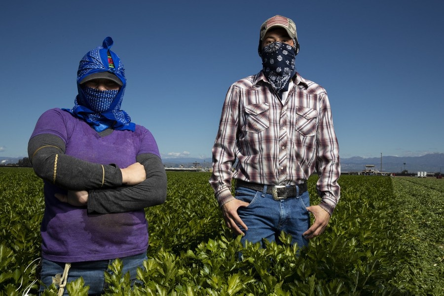 nong dan trong dich Covid-19 anh 12