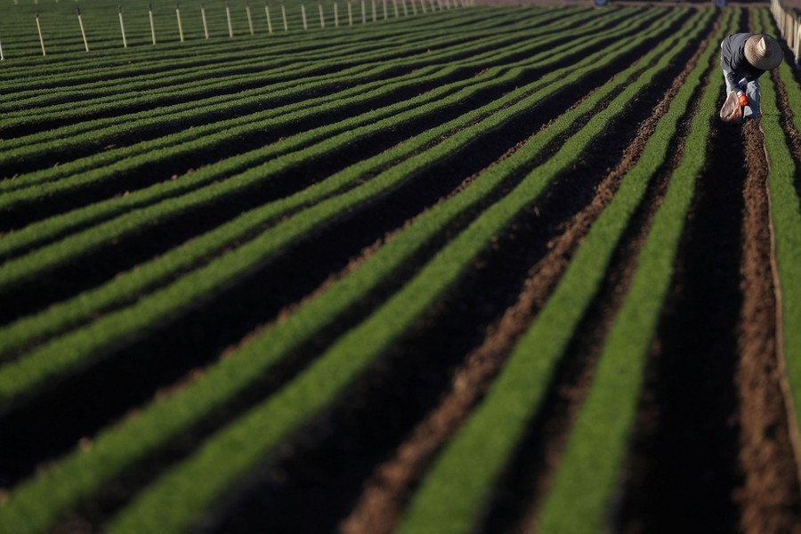 nong dan trong dich Covid-19 anh 14