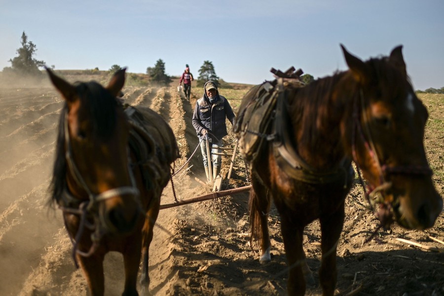 nong dan trong dich Covid-19 anh 2