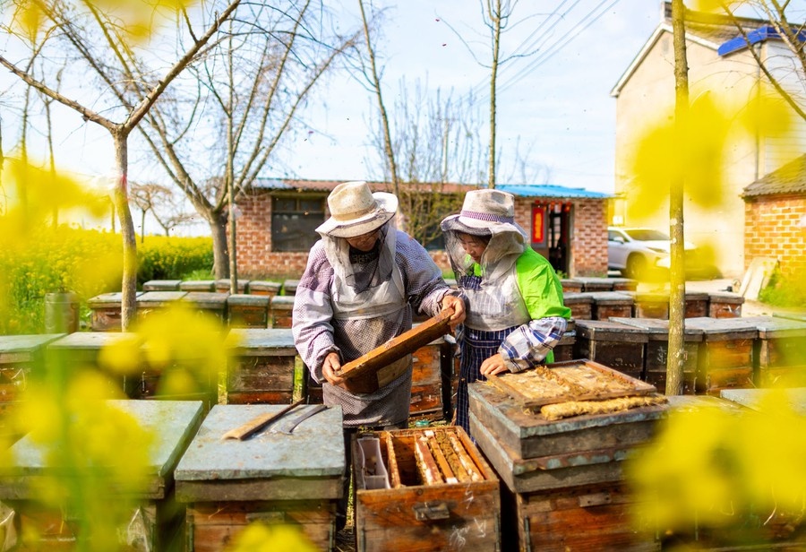 nong dan trong dich Covid-19 anh 5