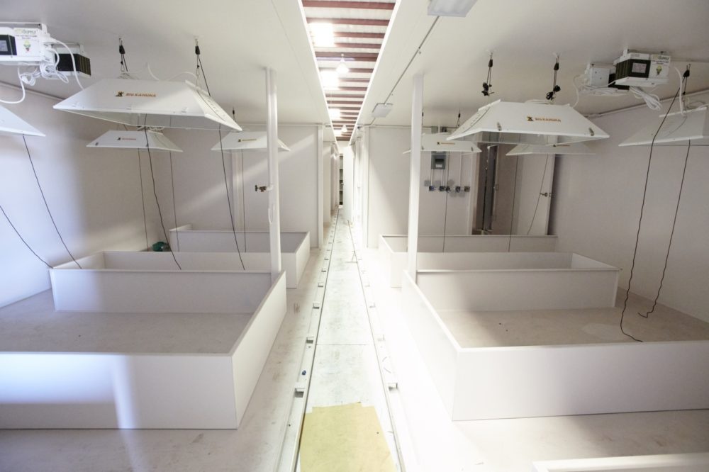 Ham tru an cua gioi nha giau anh 2