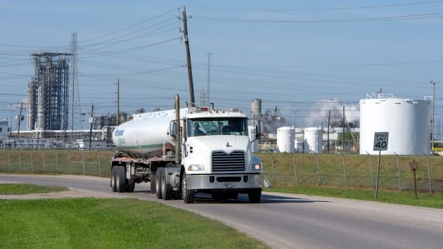 tim kho chua dau anh 2