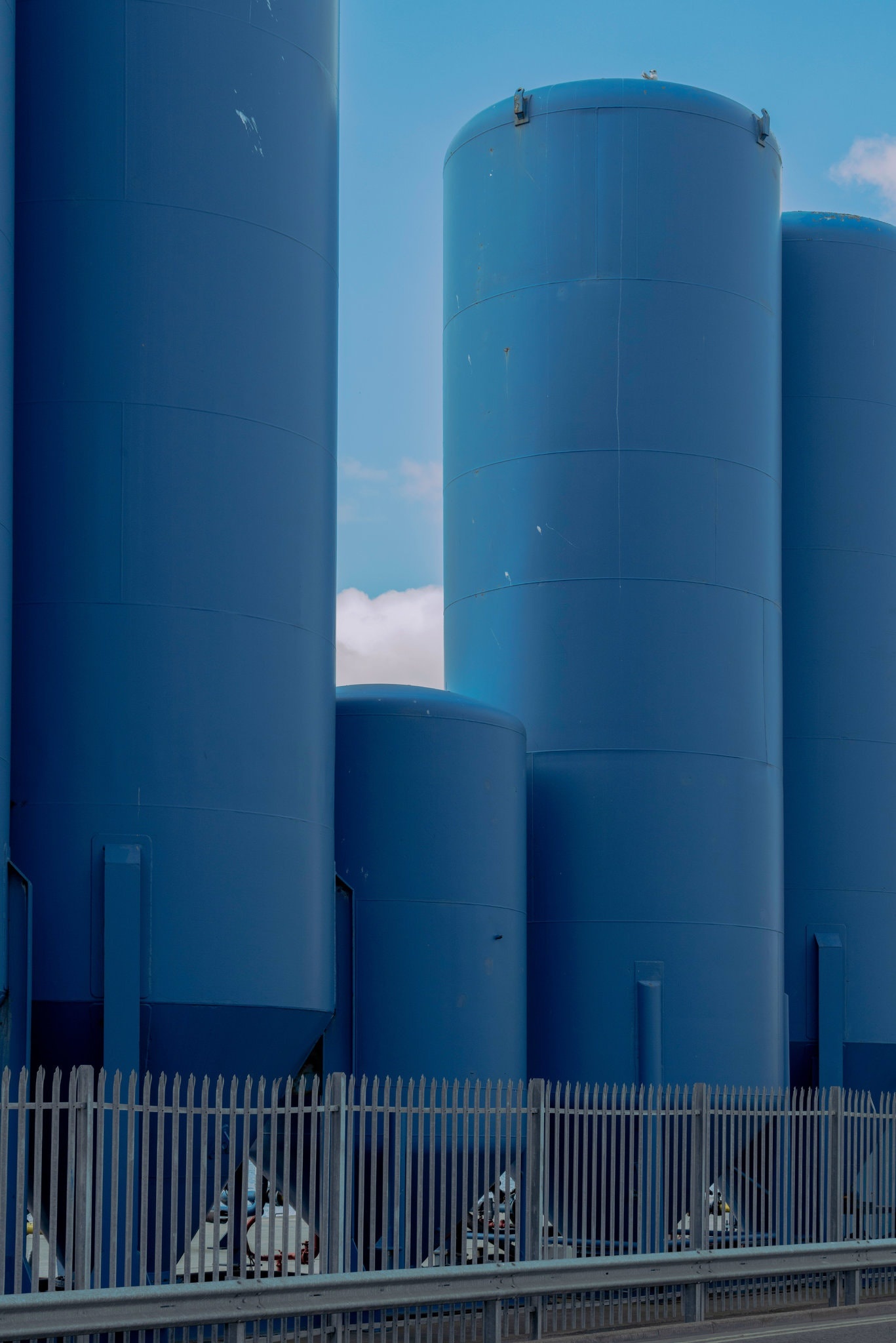 gia dau sup do anh 1