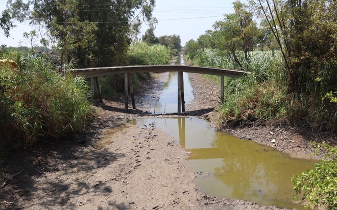 Viet Nam don lan song FDI anh 4