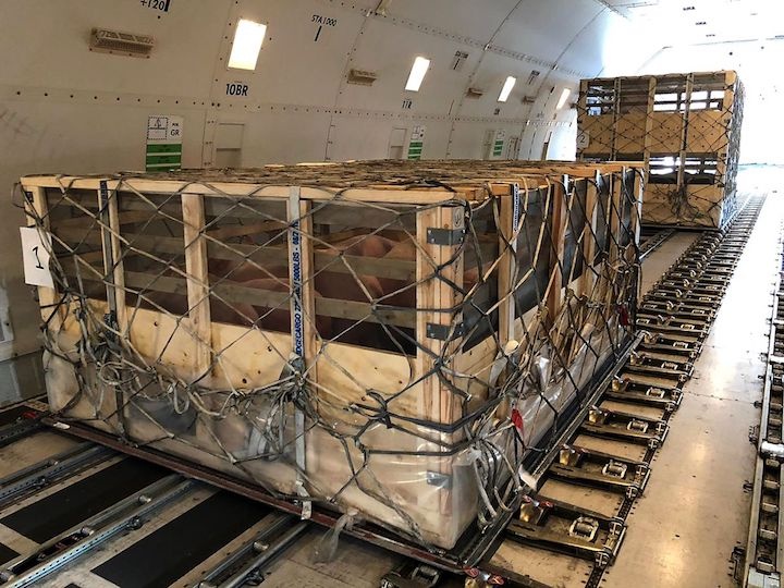 Nga dua 3.000 con lon giong bang may bay den Trung Quoc hinh anh