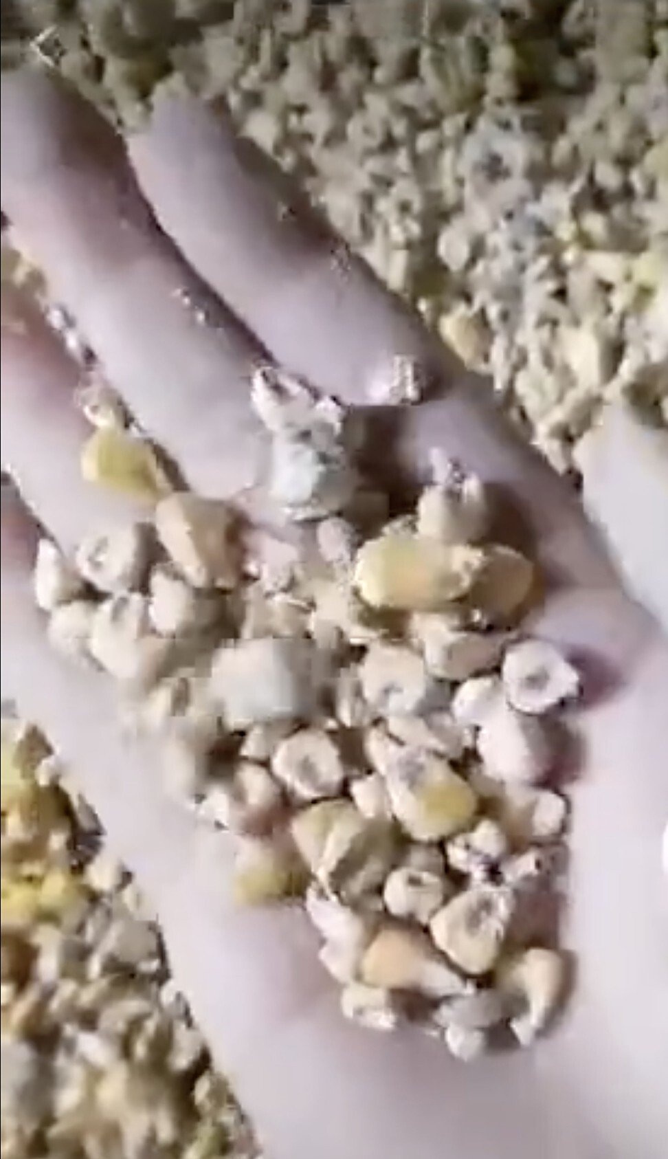 An ninh luong thuc Trung Quoc anh 1