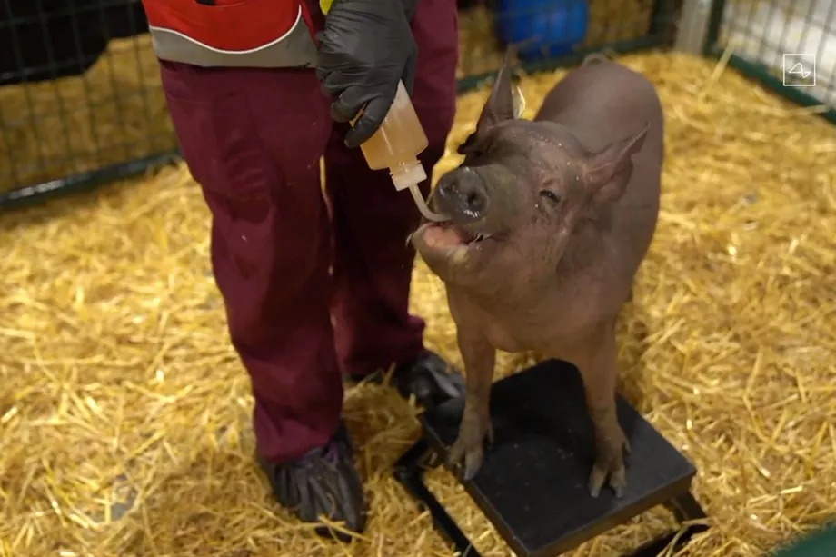 Cong nghe thay the con nguoi anh 3