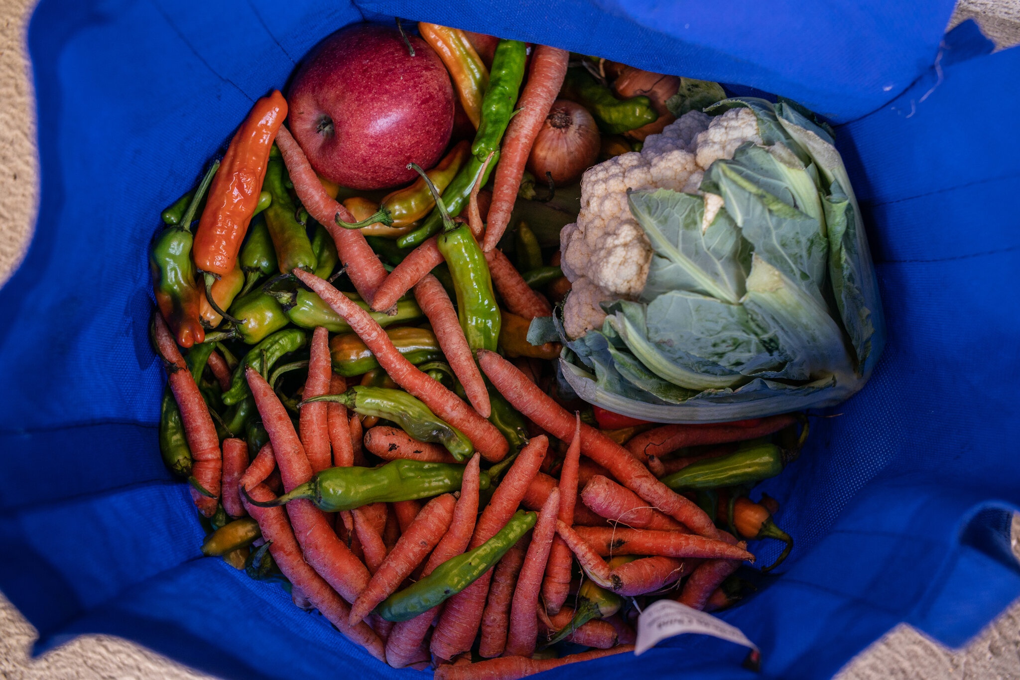 Cu dan New York anh 12