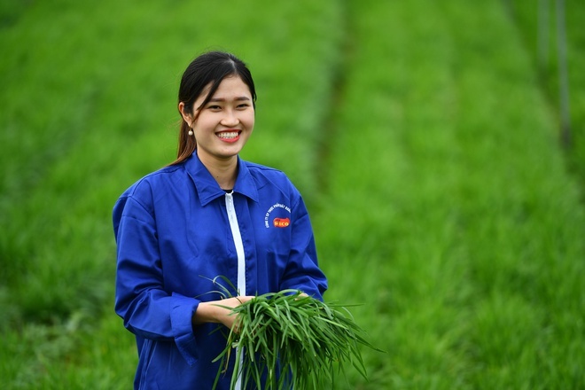 IMF: Tang truong kinh te Viet Nam thuoc nhom cao nhat the gioi hinh anh