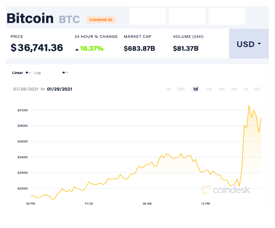 Elon Musk ung ho Bitcoin anh 1