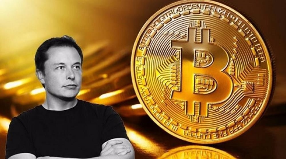 Elon Musk: 'Toi nen mua Bitcoin tu 8 nam truoc' hinh anh