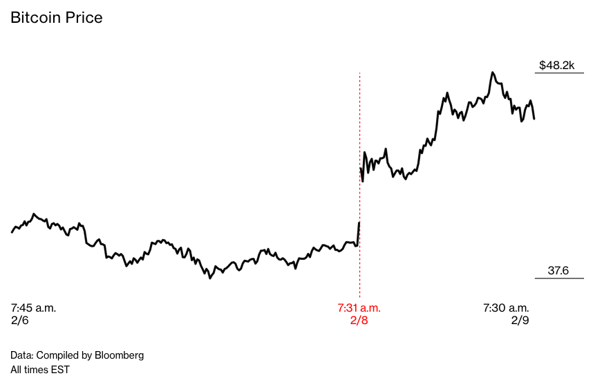 Ty phu Elon Musk anh 8