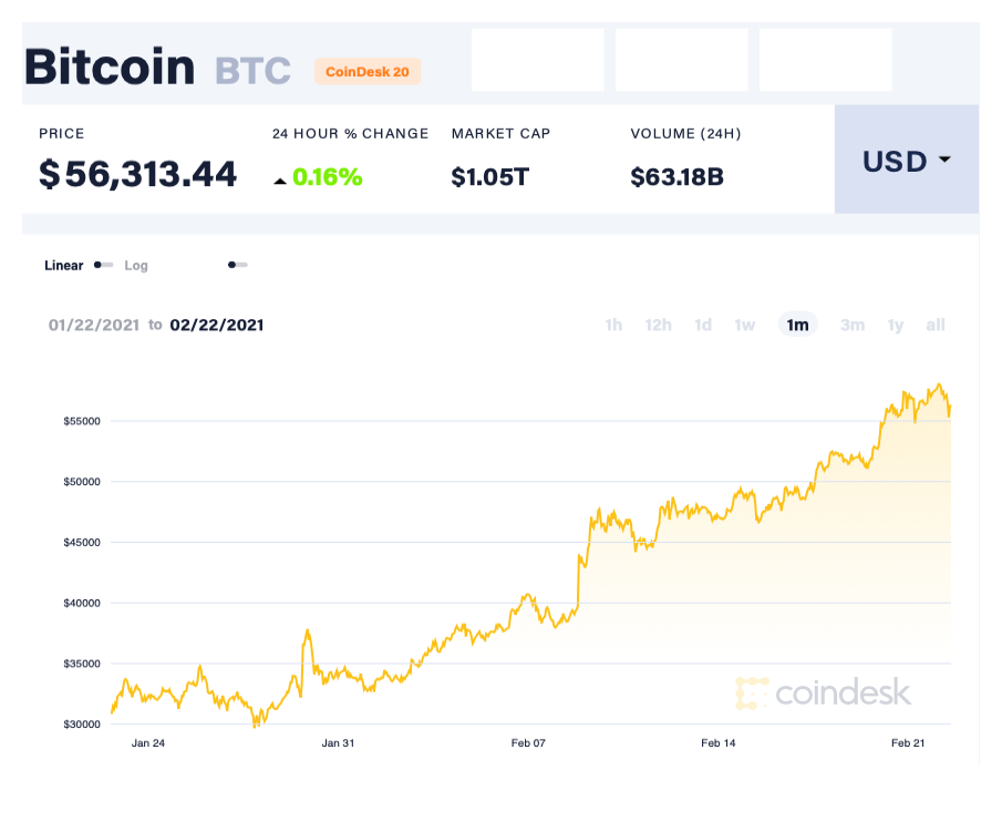 Bitcoin tang gia anh 1