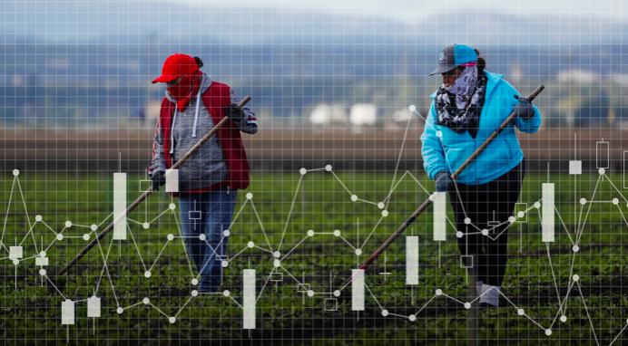 Gia luong thuc anh 1