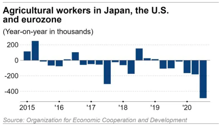 Gia luong thuc anh 2