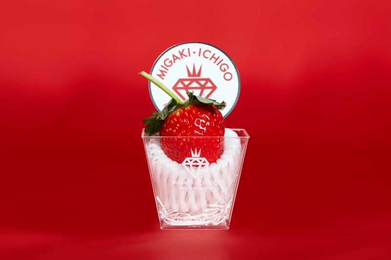 Dau tay 10 USD/qua cuu mot thi tran Nhat Ban hinh anh