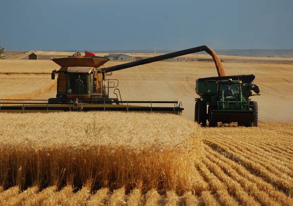 Kinh te toan cau truoc noi lo lam phat hinh anh