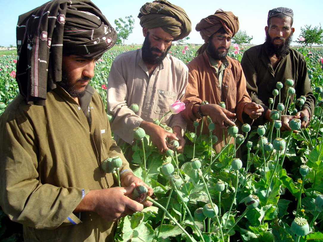 Taliban kiem tien anh 2