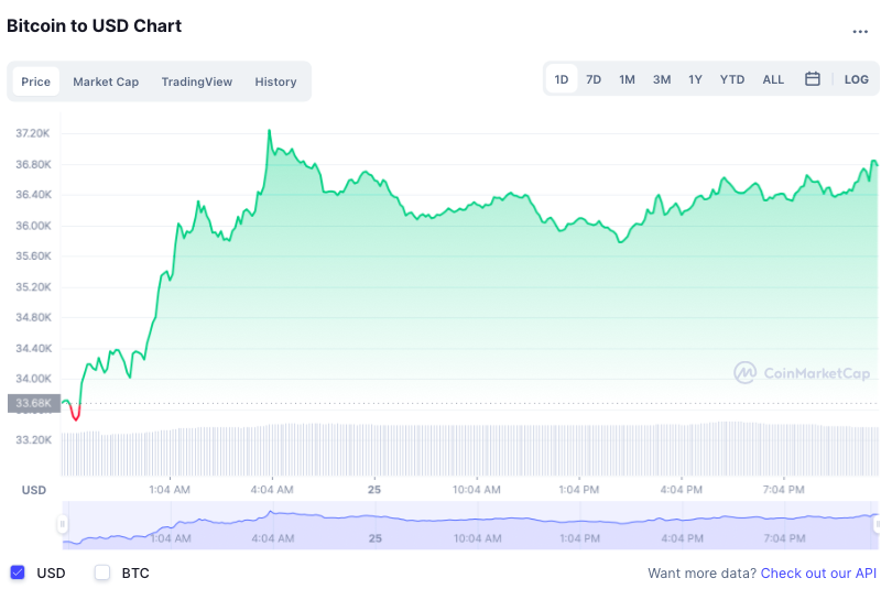 Bitcoin tang gia anh 1