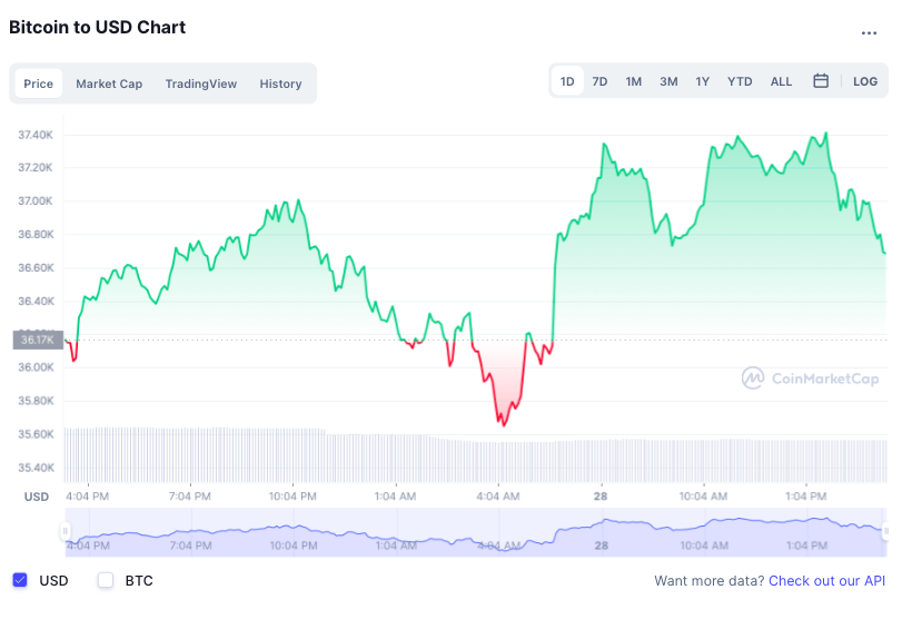 Gia Bitcoin bien dong anh 1