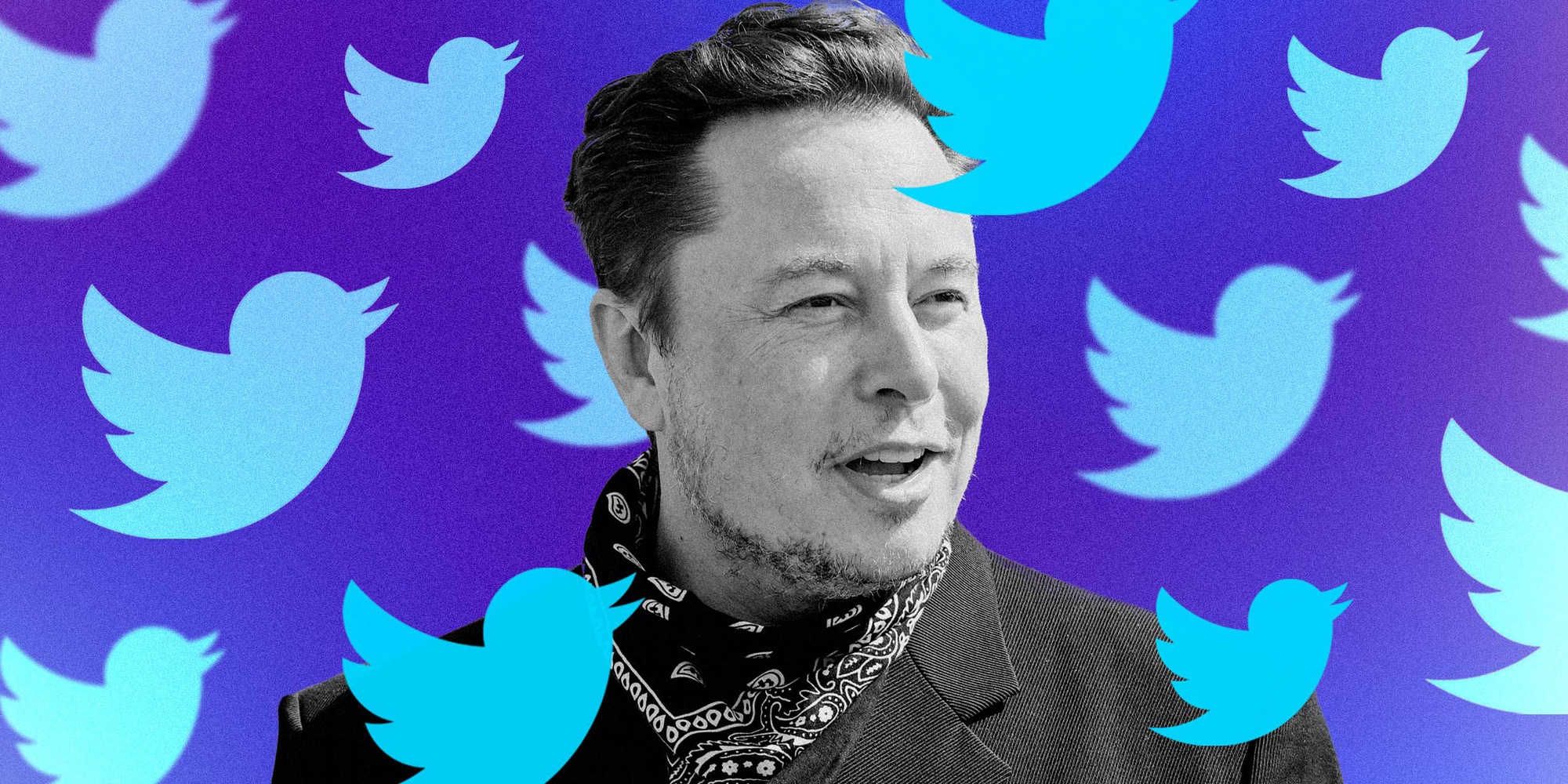 Twitter se ra sao khi ve tay Elon Musk? hinh anh