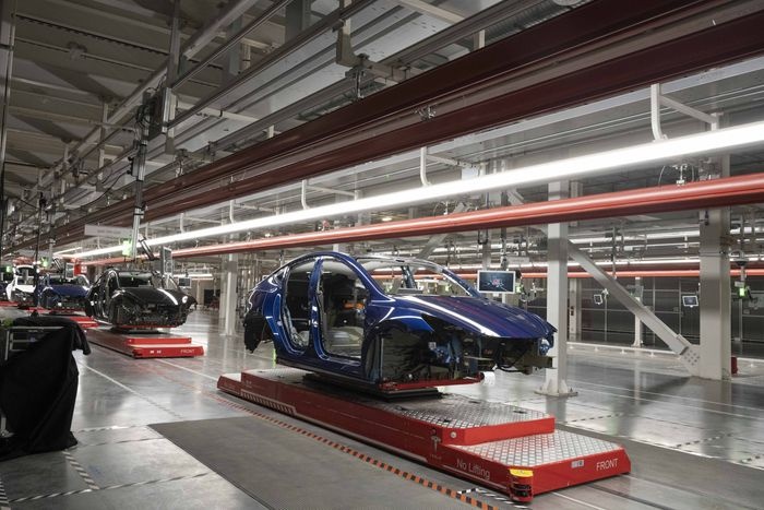 Elon Musk ảnh 3 Elon Musk anh 3